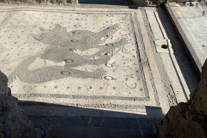 Pompeii Guided Tour with Skip-the-Line Entry - FAQ