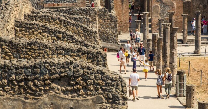 Pompeii: Guided Walking Tour with Skip-the-Line Ticket - Who Is This Tour Best For?
