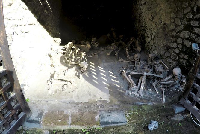 Pompeii, Herculaneum and Local wine tour from NAPLES - The Final Highlight: Wine and Lunch on Vesuvius’ Slopes