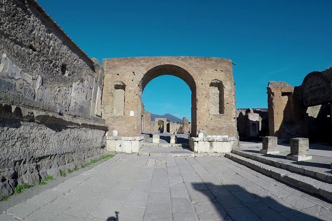 Pompeii, Herculaneum and Local wine tour from NAPLES - The Value for Travelers