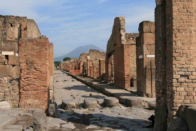 Pompeii & Herculaneum Day Trip from Naples with Lunch - Who Is This Tour Best For?