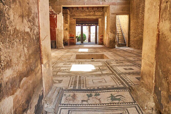 Pompeii, Herculaneum & Mt Vesuvius Private Tour from Naples - What’s Included & Whats Not