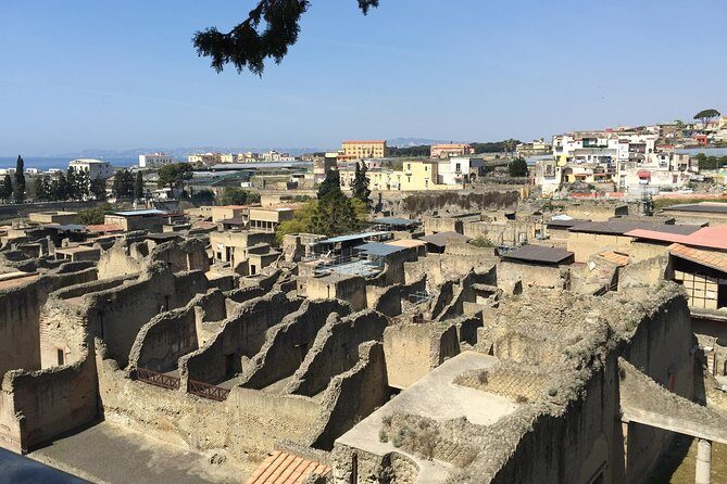 Pompeii-Herculaneum-Vesuvius tour from Sorrento with licensed guide included - Who Will Love This Tour?