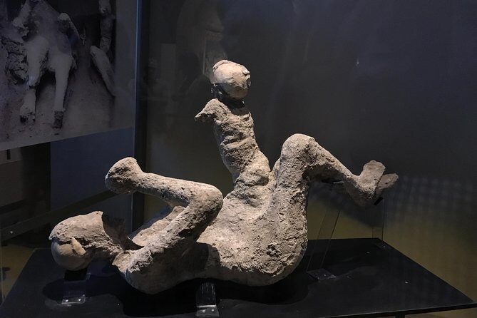 Pompeii & Herculaneum with driver and Expert Guide - Who Should Consider This Tour?