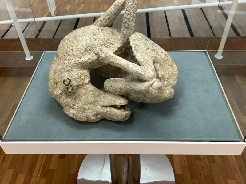 Pompeii in 2h and 30mnt: walk with local guide - Who should consider this tour?