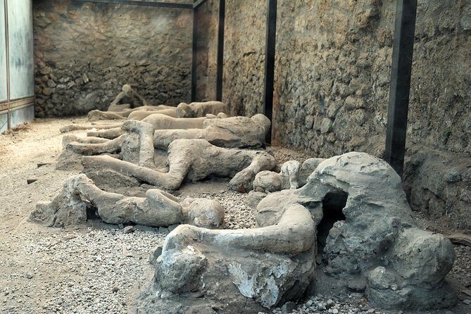 Pompeii, Mt. Vesuvius, Herculaneum Private Tour - Why Choose This Tour?