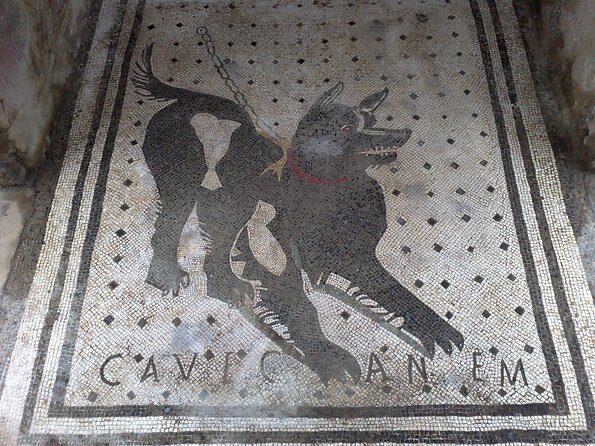 Pompeii Positano and Sorrento shared excursion with Pompeii skip the line entry - Transportation & Logistics: A Closer Look