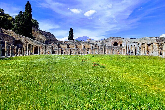 Pompeii Private Guided Tour from Naples - A Closer Look at the Pompeii Private Tour
