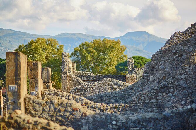 Pompeii Private & Personalized Tour with archeology expert guide - Authentic Insights from Reviewers