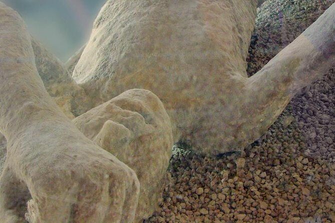 Pompeii Private Tour from Sorrento Entrance fees included - FAQs