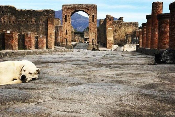 Pompeii Private Tour with Expert Guide - The Itinerary: What You’ll See and Why It Matters