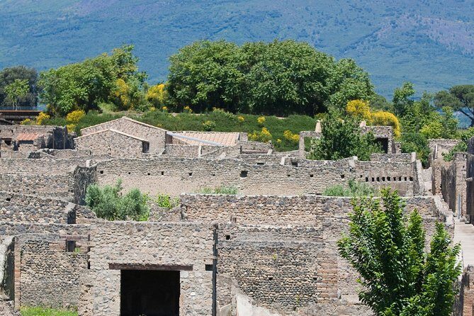 Pompeii Ruins Half-Day Tour from Sorrento with Guide - FAQ