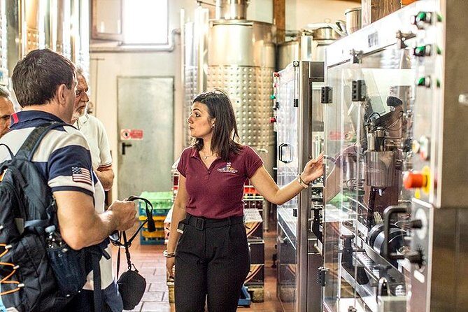 Pompeii Ruins & Wine Tasting with Lunch on Vesuvius with Private Transfer - Final Thoughts