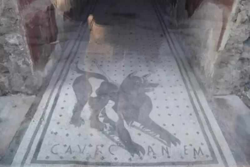 Pompeii: Skip the Line Ticket + Audioguide - FAQ