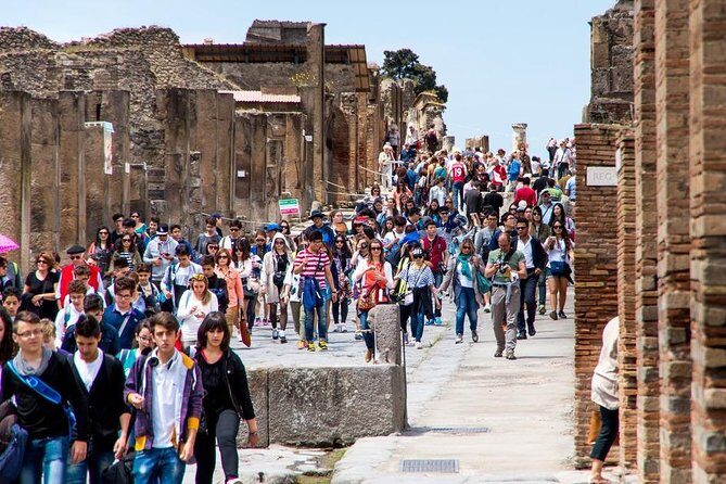 Pompeii, Sorrento and Amalfi Coast private tour - Who Will Love This Tour?