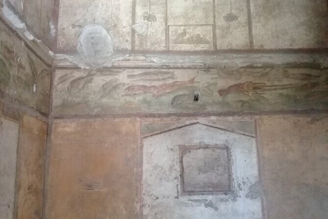 Pompeii Sorrento Positano - Who Should Consider This Tour?