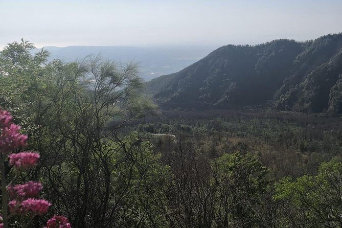 Pompeii Vesuvius All-Inclusive from Naples with Lunch & Guide - Final Thoughts