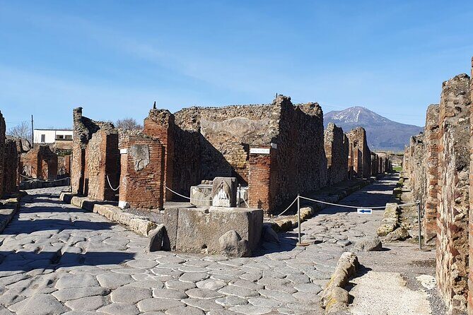 Pompeii Vesuvius Day Tour from Naples with Italian Lunch and Wine - Key Points