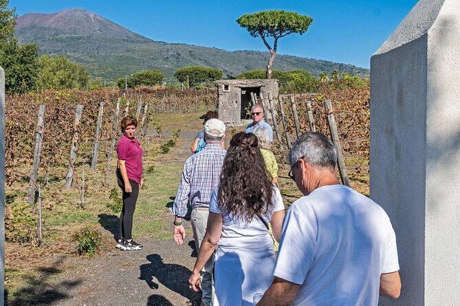 Pompeii Vesuvius Day Tour from Naples with Italian Lunch and Wine - FAQs