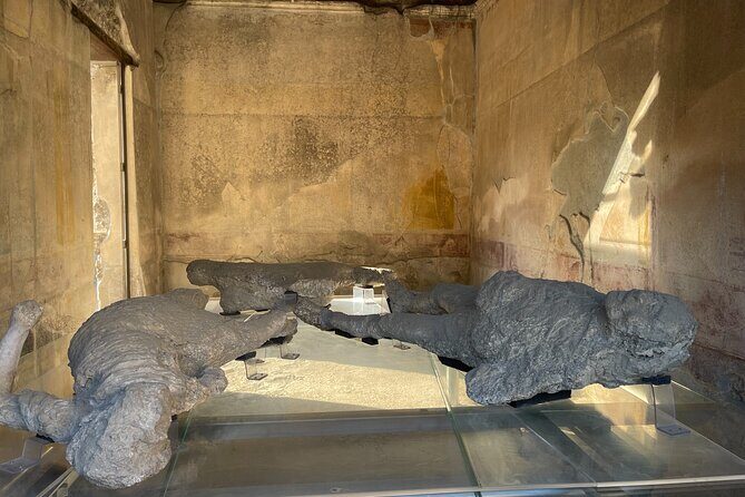 Pompeii, Vesuvius & wine tasting from Positano all inclusive - The Sum Up
