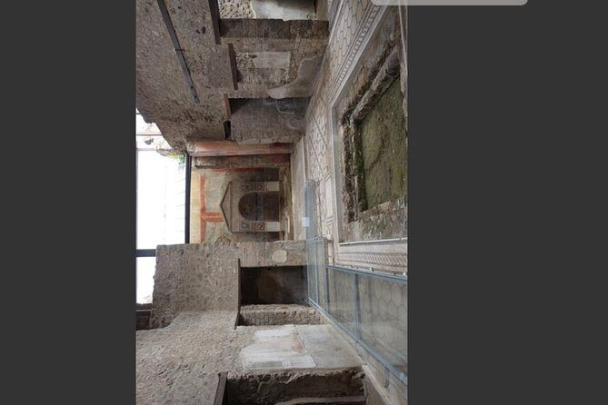 Pompeii, Vesuvius & Wine Tasting Private day Tour - Summary of the Experience