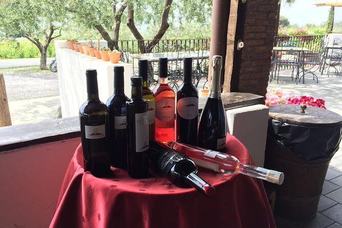 Pompeii-Vesuvius-Wine tour from Sorrento, licensed guide included - What Makes This Tour Stand Out?