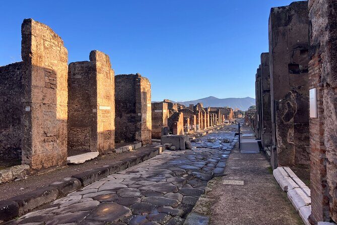 Pompeii: Walking Tour with Archaeologist and Skip-the-Line Ticket - The Sum Up