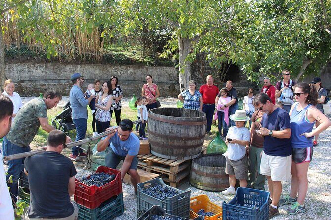 Pompeii Wine Tasting Tour from Positano - The Sum Up
