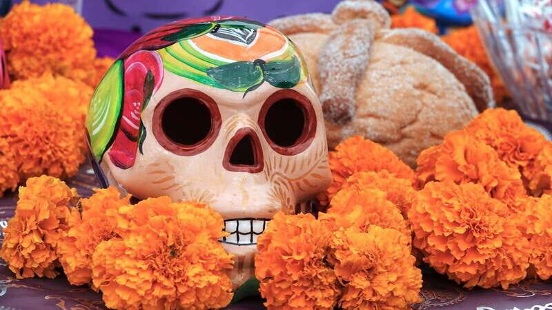 Pomuchs Legacy: A Day of the Dead Cultural Immersion - What to Expect: Authenticity and Respect