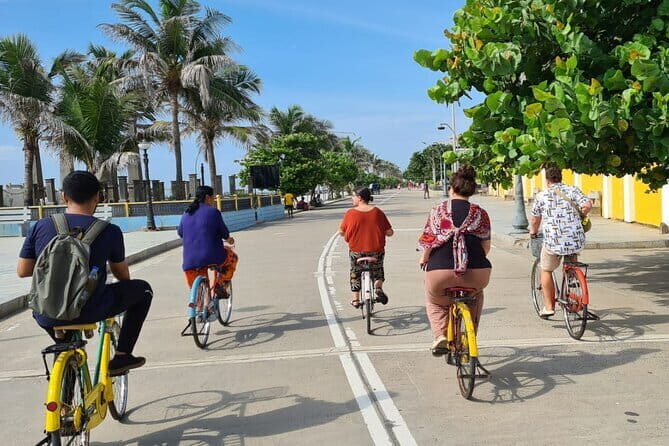 Pondicherry Private Day Tour with Car Guide and Cycle Ride - What to Expect from the Itinerary