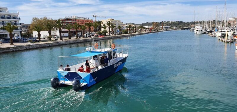 Ponta da Piedade: Half-Day Cruise with Lunch from Lagos - Why This Tour Is Worth Considering