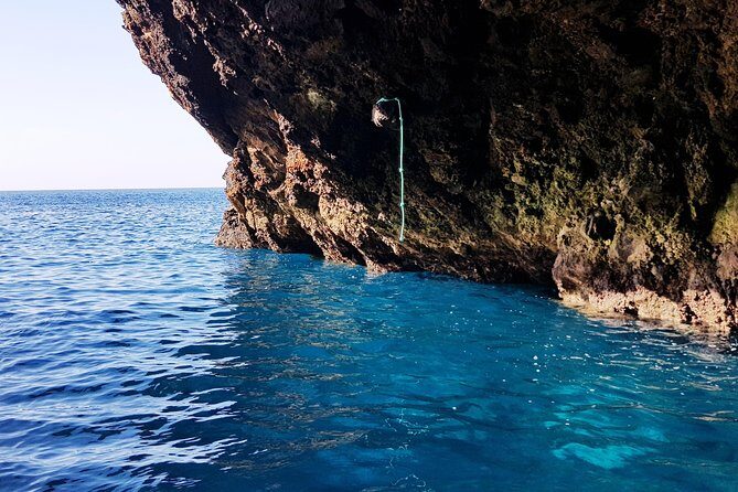 Ponta de São Lourenço Boat Tour - The Experience in Detail