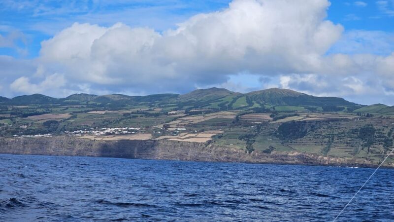 Ponta Delgada: 4-hour Half-Day Fishing Boat Trip Adventure - Pricing and Value Considerations