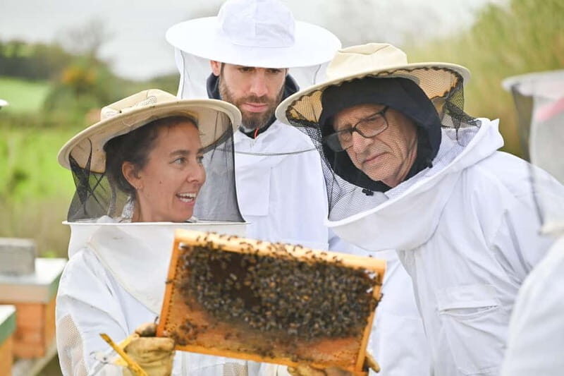 Ponta Delgada: Apiary Guided Tour - An In-Depth Look at the Tour