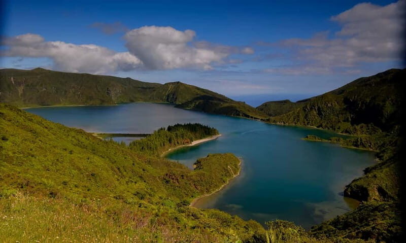Ponta Delgada: Apiary Guided Tour - Who Will Love This Tour?