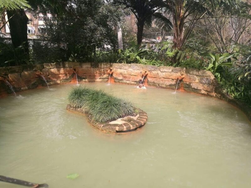 Ponta Delgada: Beauties of São Miguel Island Private Tour - Moving to the East Side: Tea, Thermal Baths, and Cultural Gems