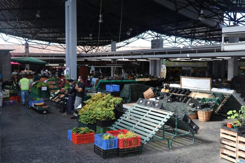 Ponta Delgada Cultural Walk - An In-Depth Look at the Ponta Delgada Cultural Walk