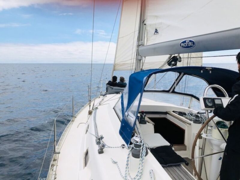 Ponta Delgada Full Day Sailing Tour with Drinks and Snacks - Who Should Book This Tour?