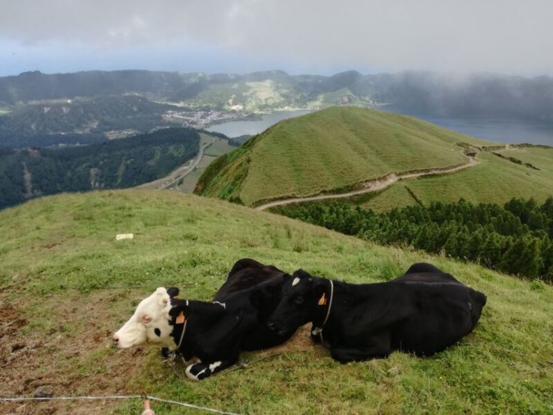 Ponta Delgada: Full-Day Sete Cidades 4X4 Tour with Lunch - FAQ