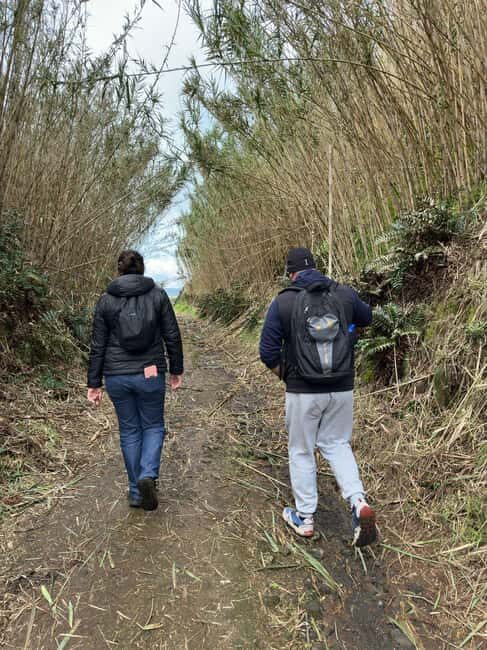 Ponta Delgada: Lagoa do Fogo and Fenais da Luz Full-Day Trip - FAQ