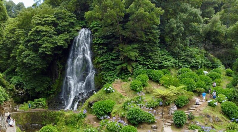 Ponta Delgada: Private Full or Half-Day 4x4 São Miguel Tour - Why Choose the Ponta Delgada Private 4x4 Tour?