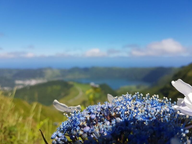 Ponta Delgada: Sete Cidades & Lagoa do Fogo Tour - Final Thoughts