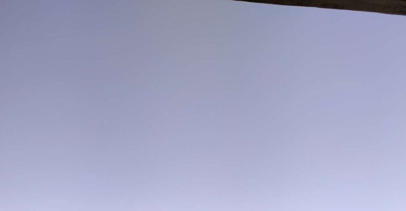 Ponta Delgada: Sete Cidades & Lagoa do Fogo Tour with Lunch - Authentic Insights from Reviews