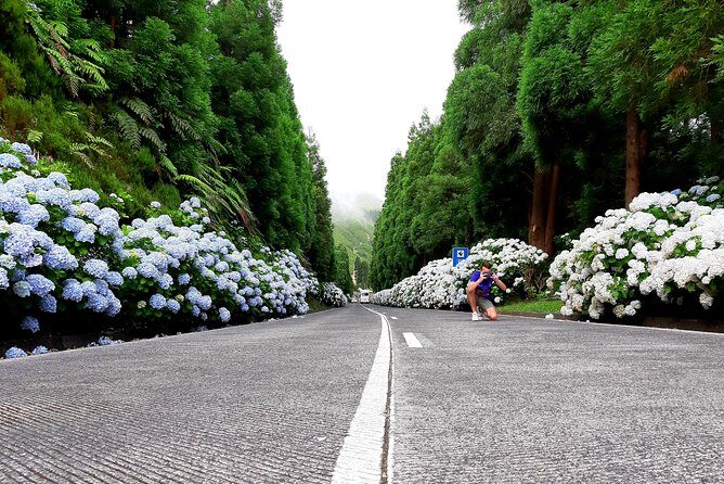 Ponta Delgada: Shore Excursion, Sete Cidades, Blue & Green Lake - The Itinerary in Detail: What Makes Each Stop Special
