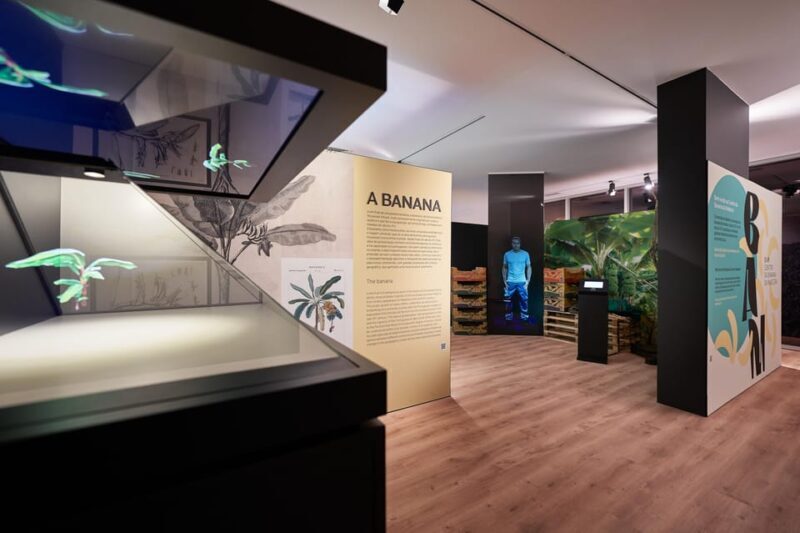 Ponta Do Sol : Madeira Banana Museum guided tour - Key Points