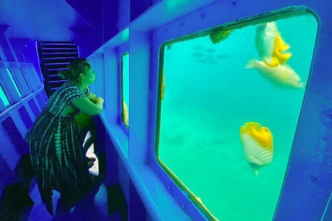 Ponton Day Trip SWIM with fishs All meals included & Transport - Key Points