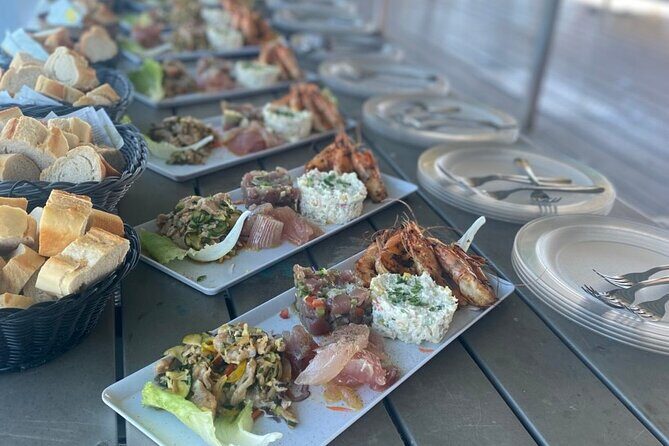 Ponton Day Trip SWIM with fishs All meals included & Transport - The Experience for Different Travelers