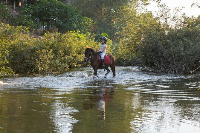 Pony Riding in Luang Prabang - The Sum Up: Is This Tour Worth It?