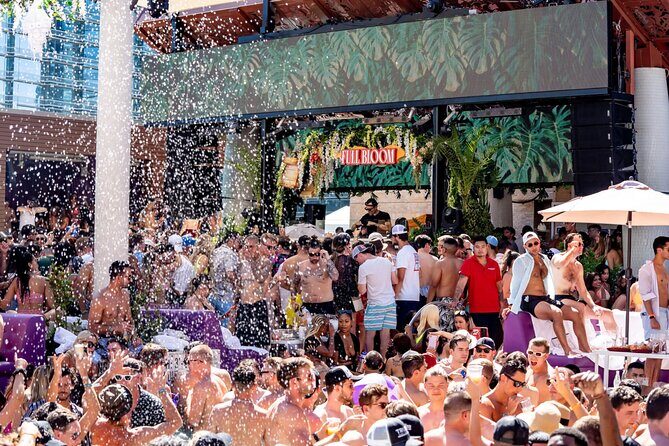 Pool Party VIP Experience with Private VIP Host in Las Vegas - Who Should Consider This Tour?