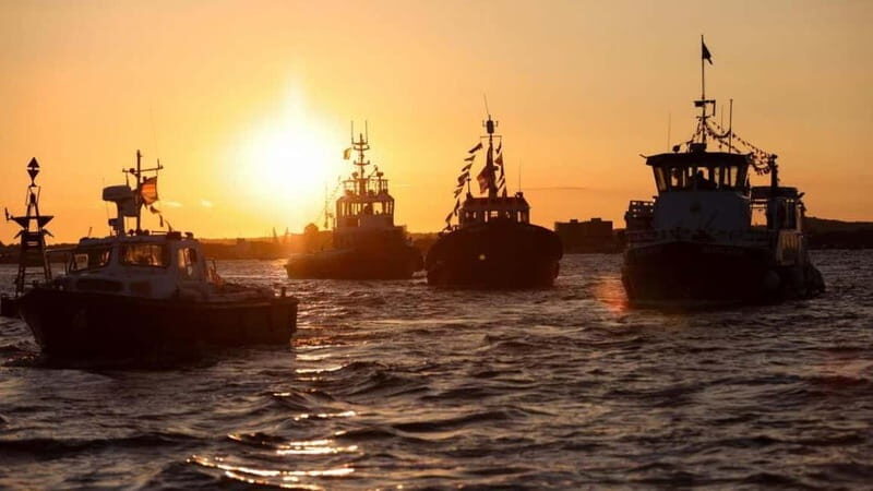 Poole: Fish and Chips Evening Cruise - Key Points